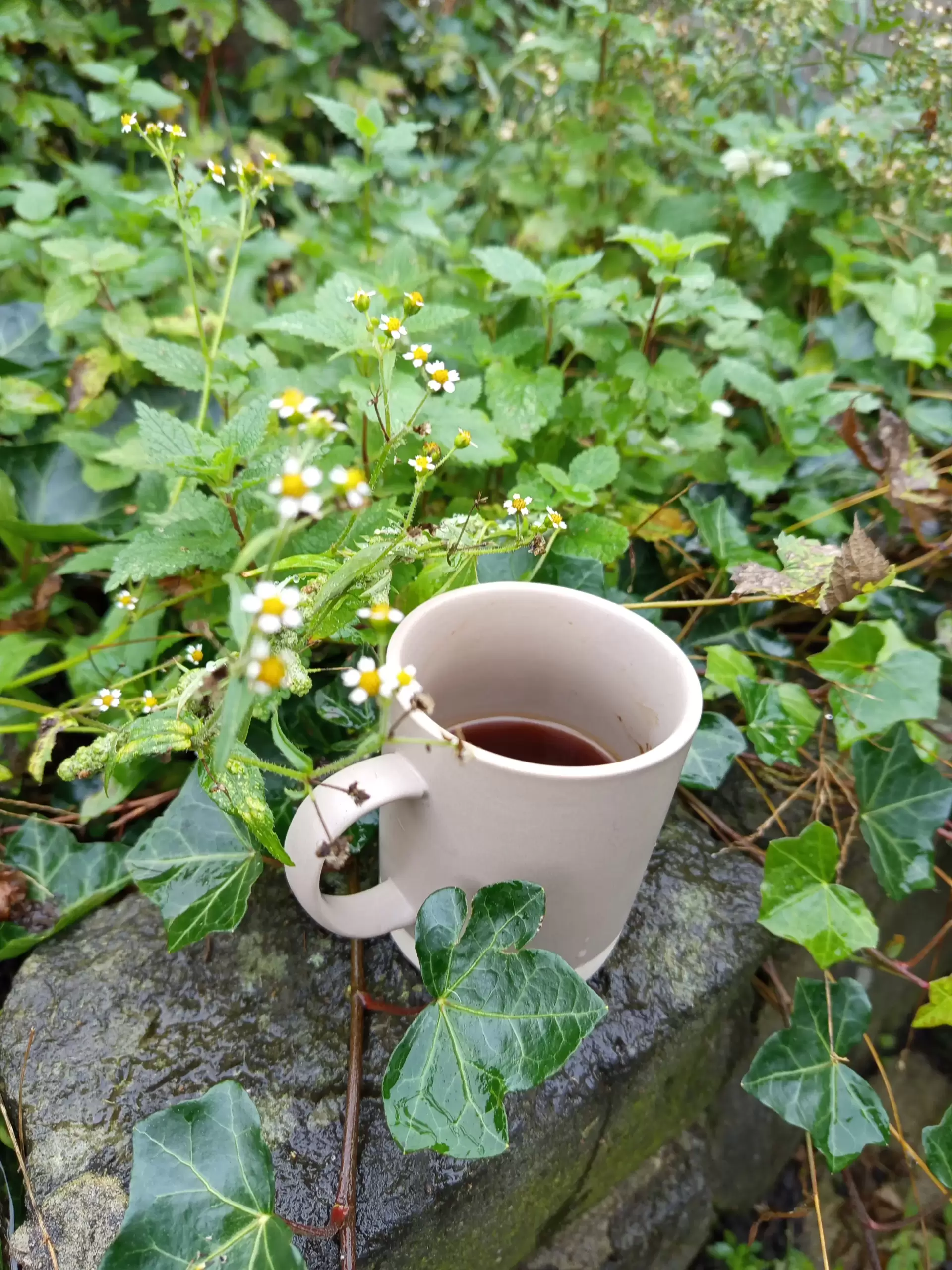 Starting fresh having a greek coffee in the garden-www.itsimmortal.com